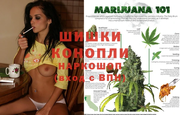 дурь Абинск