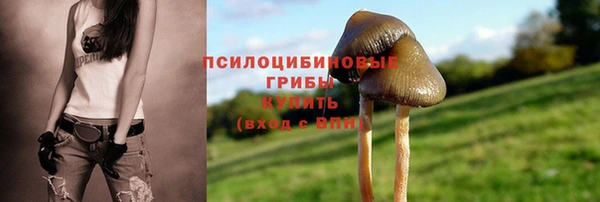 бутират Нефтегорск