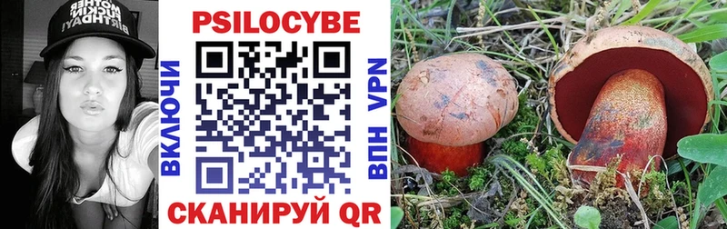Галлюциногенные грибы Cubensis  Куровское 